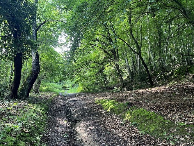 Le refuge St Martin (87)