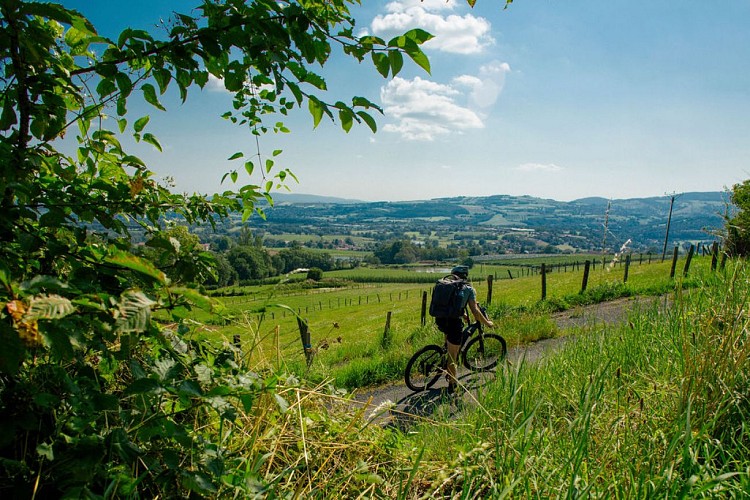 GTML – Le Grand Tour des Monts du Lyonnais_Brignais