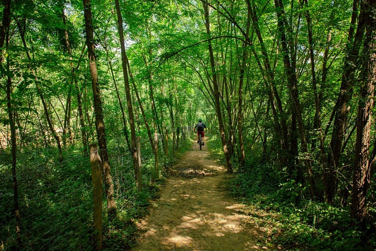 GTML – Le Grand Tour des Monts du Lyonnais_Brignais