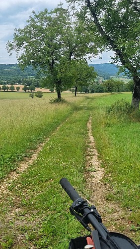 Liaison VTT (L2) Ceyzériat - Ile Chambod Gorges de l'Ain