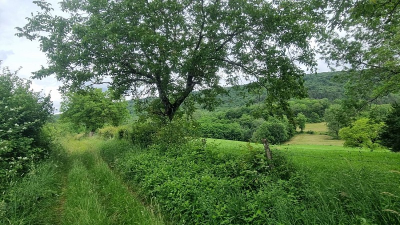 Liaison VTT (L2) Ceyzériat - Ile Chambod Gorges de l'Ain_Ceyzériat