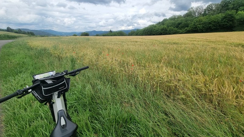 Liaison VTT (L2) Ceyzériat - Ile Chambod Gorges de l'Ain