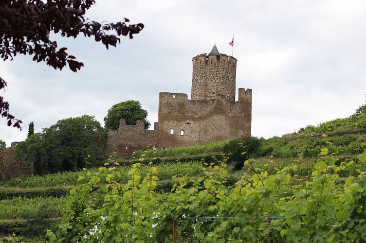 Le fort de Kaysersberg