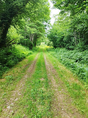 Entre bois et bocages_La Crouzille