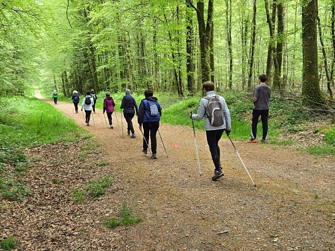 Circuit de la Longue Noé