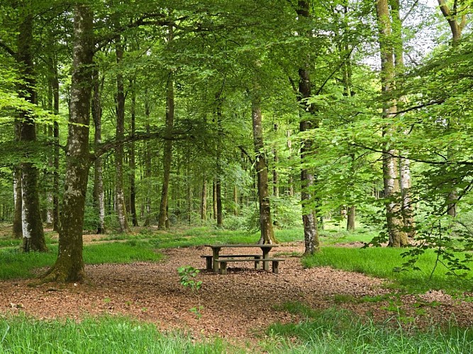 Circuit de la Longue Noé