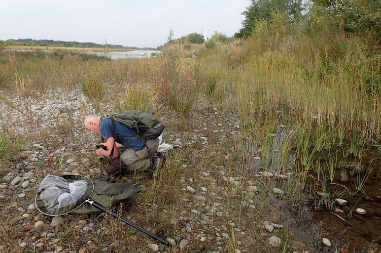 Prospections à Lauris
