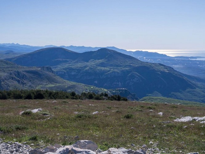 LE HAUT MONTET   DE CAUSSOLS A GRASSE 