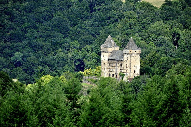 Le Château de Messilhac à Cros de Ronesque