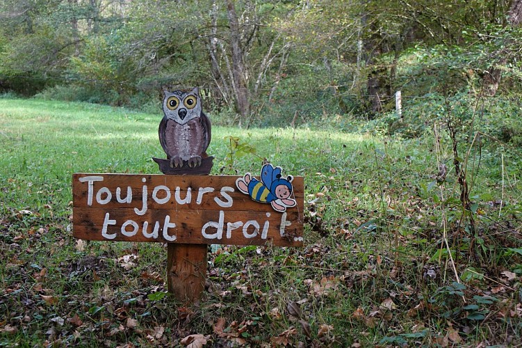 Le Château de Messilhac à Cros de Ronesque