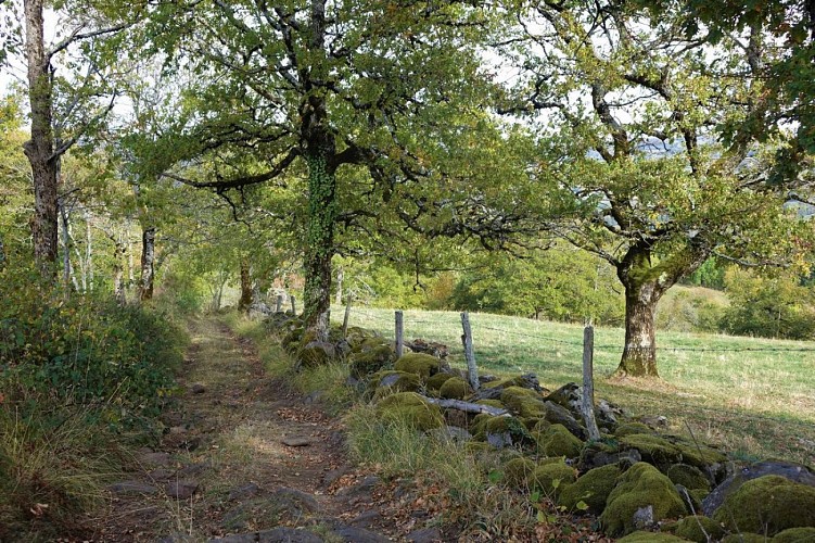 Le Château de Messilhac à Cros de Ronesque