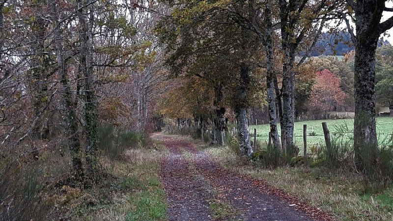 La Croix des Lucs à St Etienne de Carlat