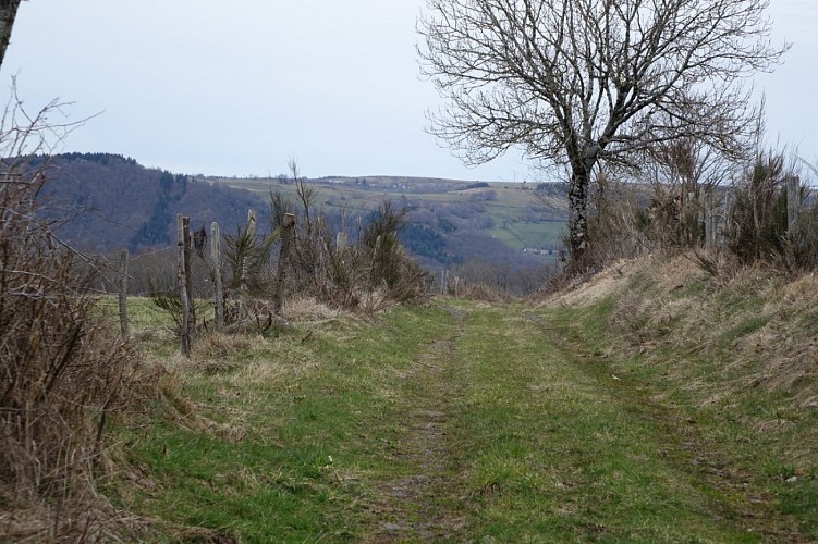 La Croix des Lucs à St Etienne de Carlat