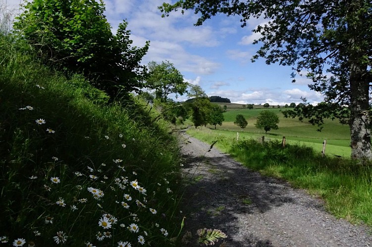 La Croix des Lucs à St Etienne de Carlat