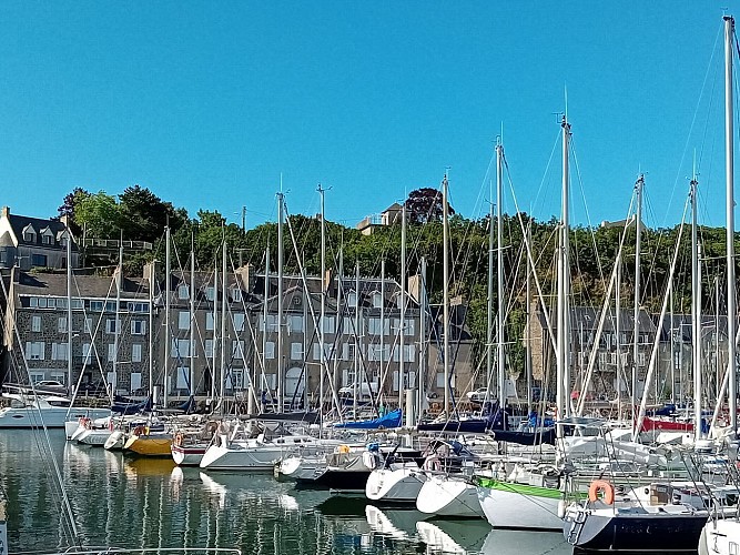 Le port de Binic, entre pêche et tourisme