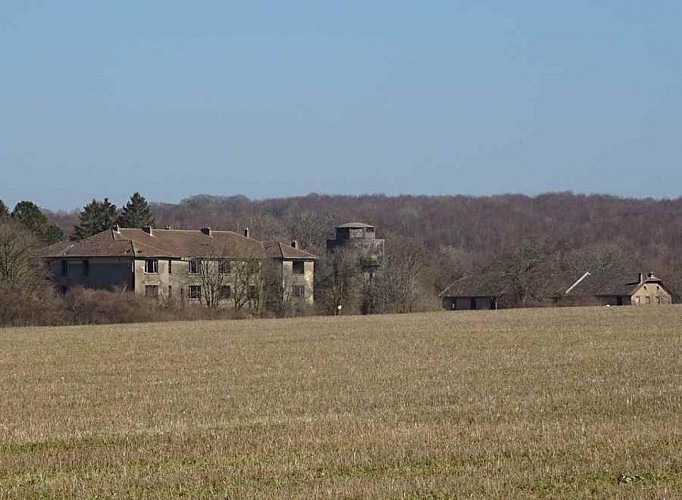 Circuit du chalet - bois de la côte
