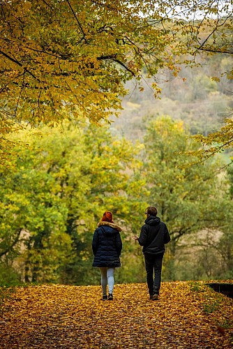 Circuit du bois de Thionville