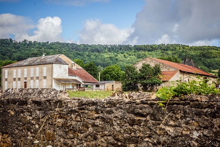 Circuit d'Oeutrange - bois de la côte