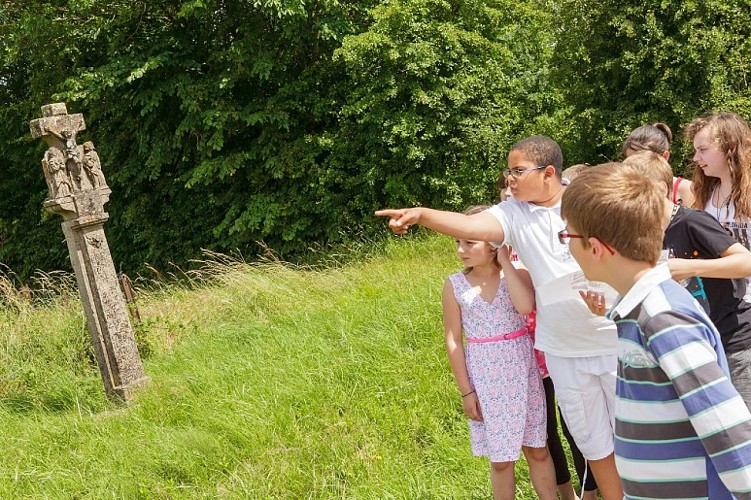 Circuit d'Oeutrange - bois de la côte