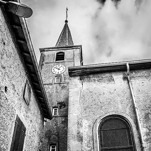 Circuit d'Oeutrange - bois de la côte