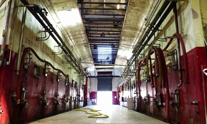 P1130761 - crédit Didier RABAUD