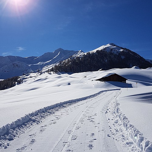 Route Wandern mit Kinderwagen: Prajourdan