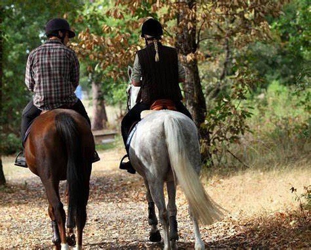 Saint Affrique horse riding circuit