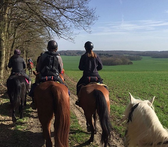 Saint Affrique horse riding circuit