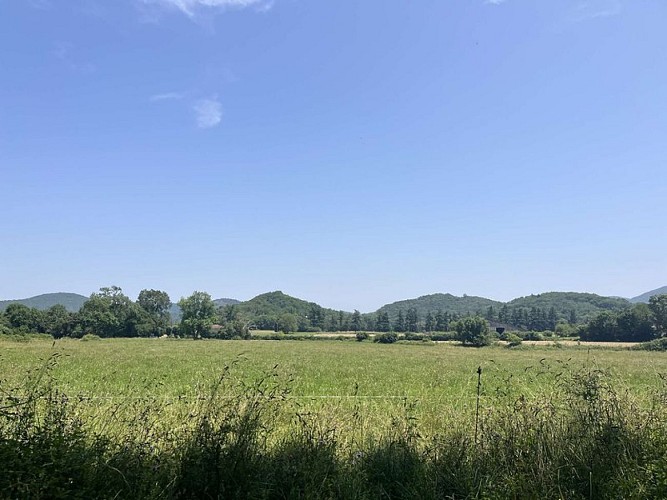 Sur le chemin du retour