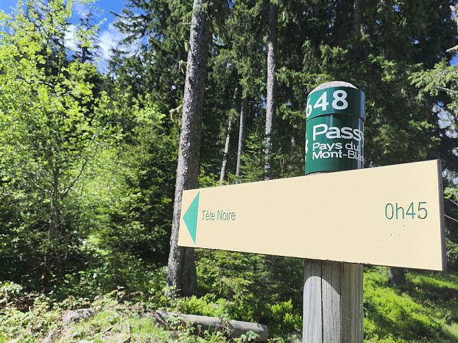 Tête Noire über den Col de la Forclaz_Passy