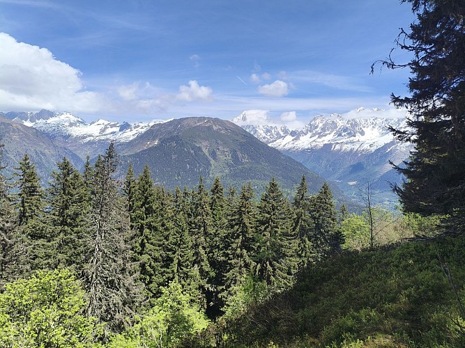Tête Noire via Col de la Forclaz_Passy