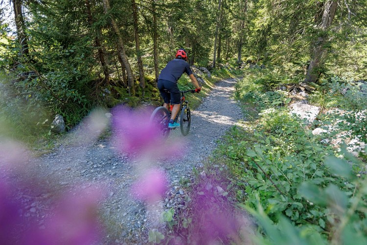 Descente enduro Grand Bois de Joux_Passy