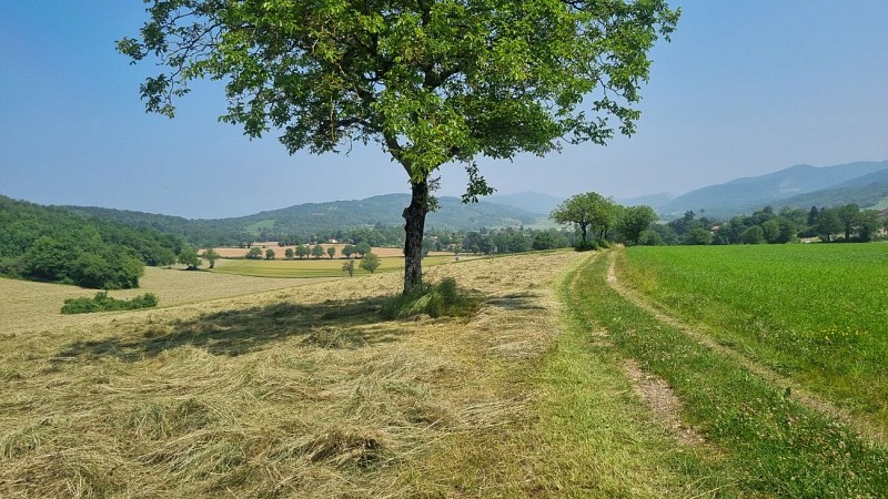 Liaison VTT (L5) Ile Chambod - Corveissiat par Gd Corent, la route des crêtes