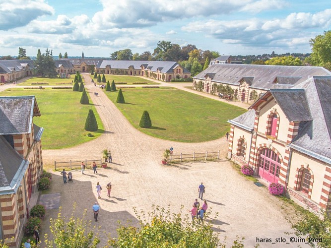 Haras de Saint-Lô
