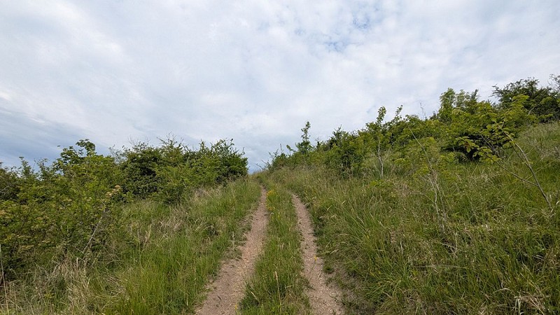 Chemin vers Chamouille