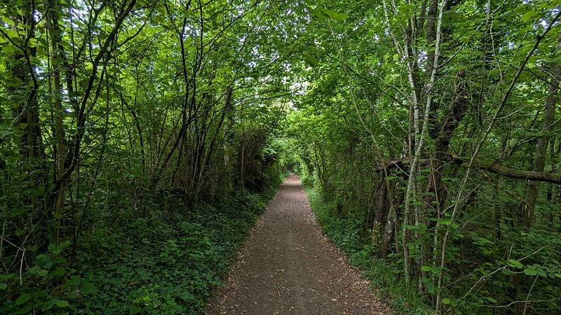 Chemin du Champ Gérard