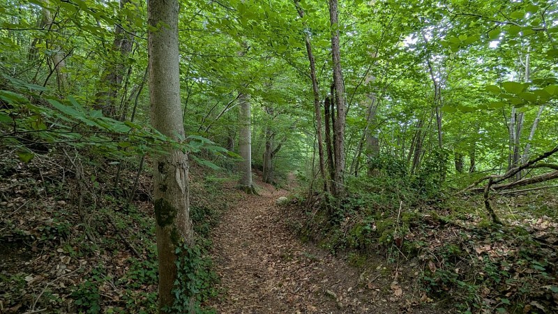 Chemin vers le calvaire