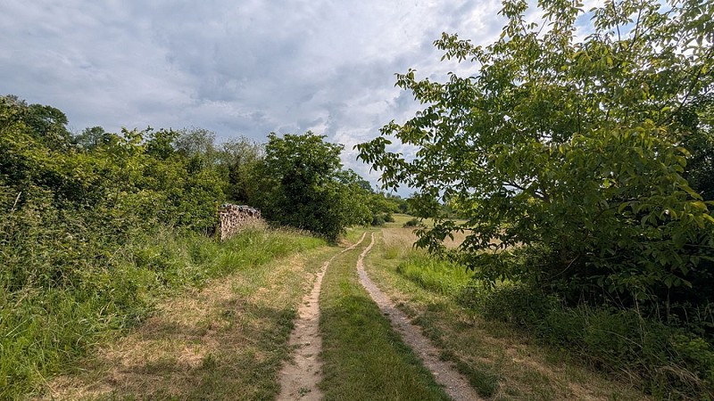 Chemin dans Chamouille