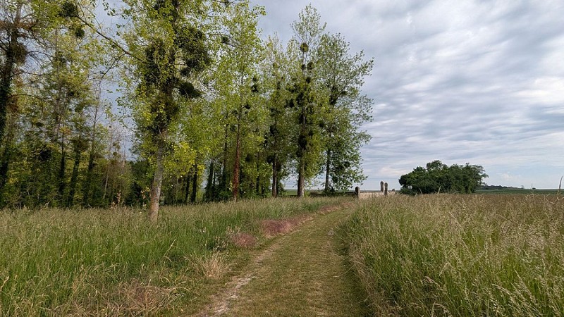 Cimetière de Monthenault