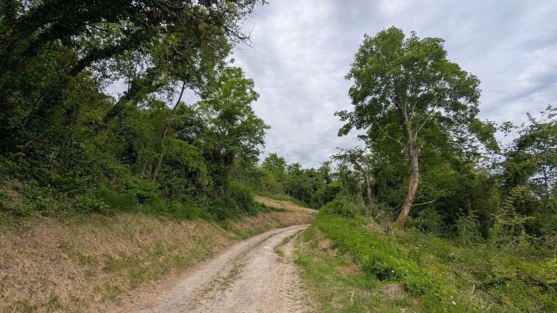 Chemin vers Monthenault