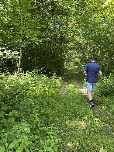 Rode wandeling : Oorlogstijden in Cerfontaine