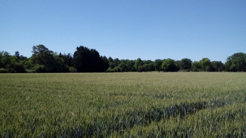 Le Tertre Noir, le Tertre Blanc et le Rocher du Duc