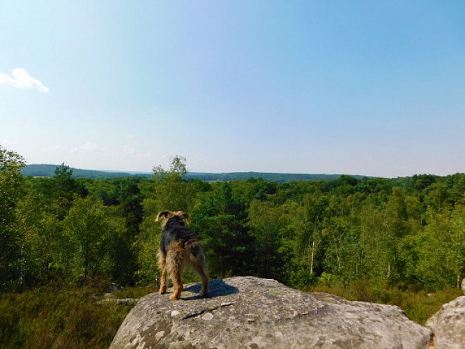 Le Tertre Noir, le Tertre Blanc et le Rocher du Duc