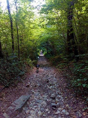Le Tertre Noir, le Tertre Blanc et le Rocher du Duc