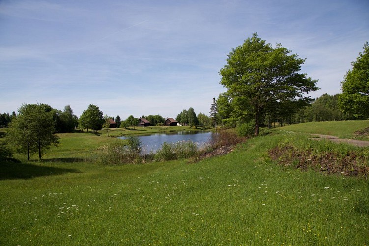 VTT n°3 Les Grilloux