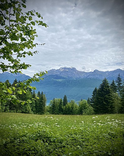 Marche nordique #1 Lathuile - Les balcons du lac_Lathuile