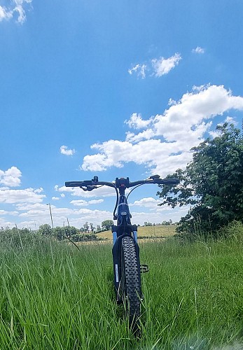 Circuit VTT n°10 - Lé prô, lé beû de Foissiat-Etrez (prés et bois)