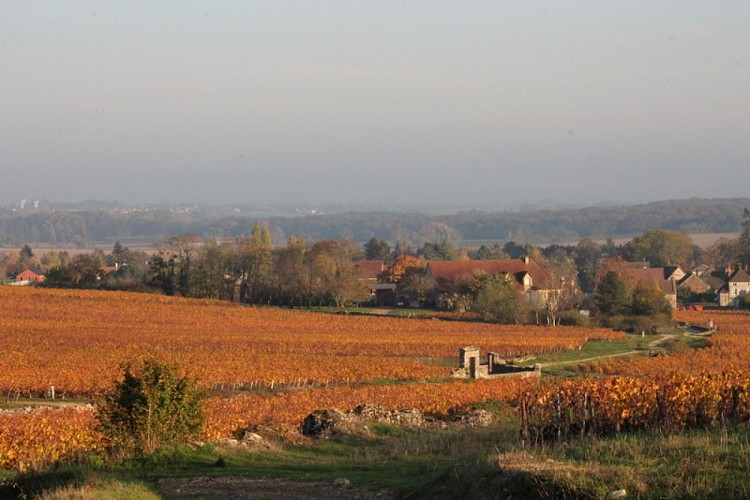 Givry