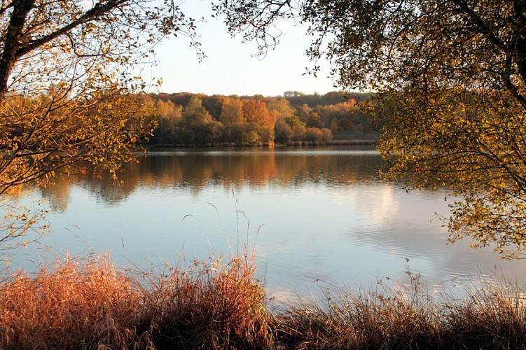 Etang de la Chaume automne.jpg_2
