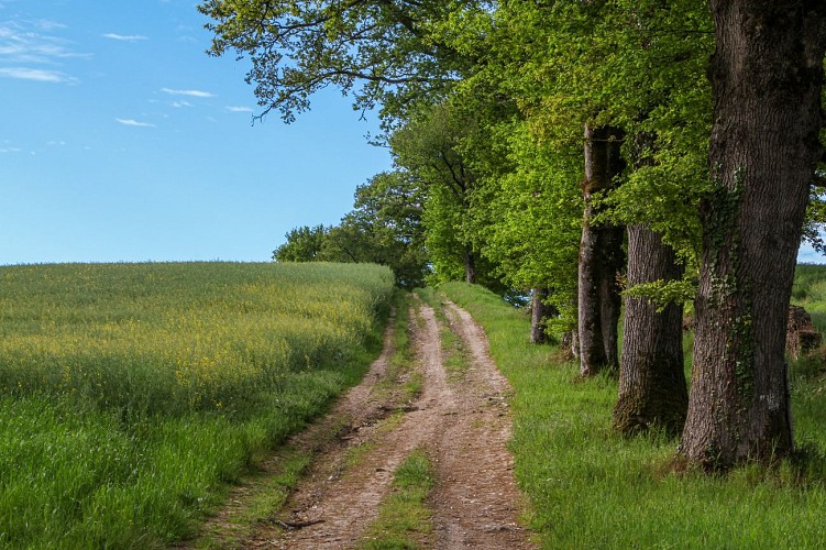 oradour-sur-glane_2017_otpol-chemin-2